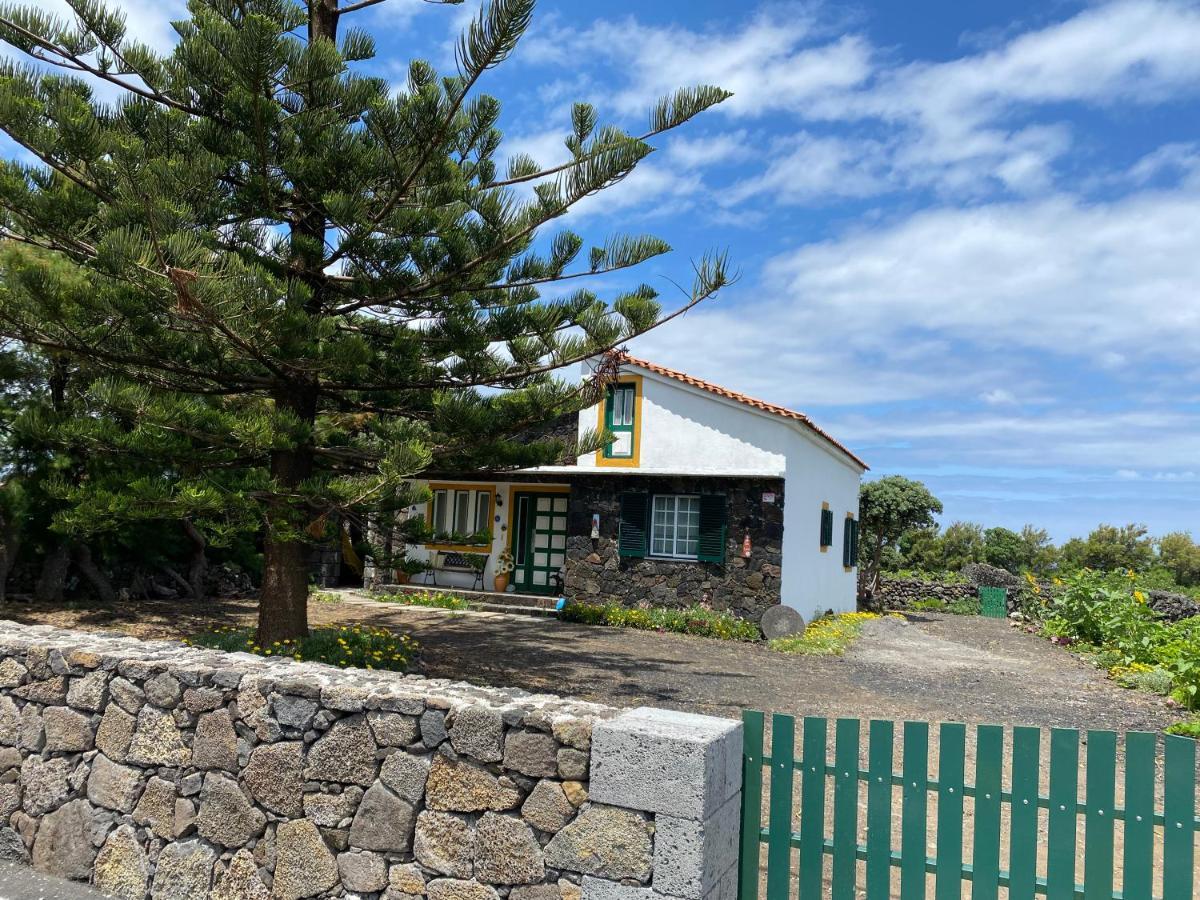 Casa Da Costa Villa Madalena  Dış mekan fotoğraf
